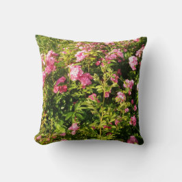 Roze rozen in bloei kussen