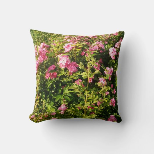 Roze rozen in bloei kussen (Voorkant)