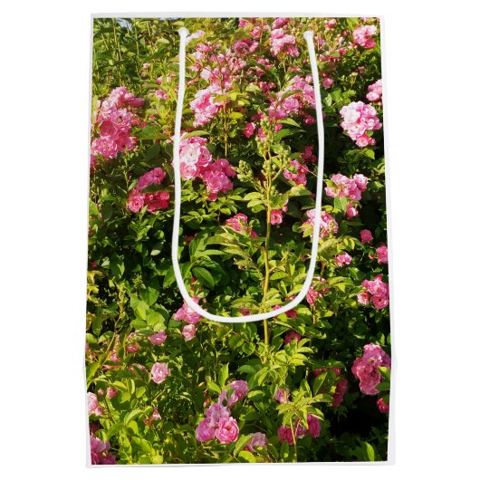 Roze rozen in bloei medium cadeauzakje (Achterkant)