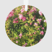 Roze rozen in bloei ornament (achterkant)