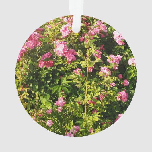 Roze rozen in bloei ornament (achterkant)