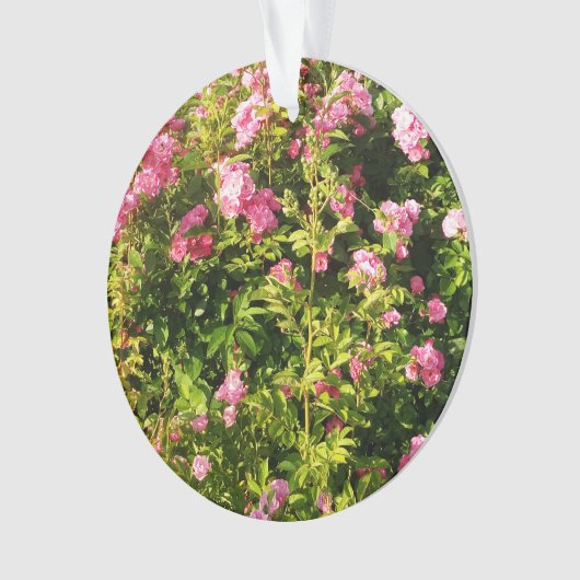 Roze rozen in bloei ornament (voorkant)