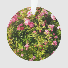 Roze rozen in bloei ornament