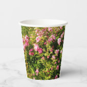 Roze rozen in bloei papieren bekers (Voorkant)