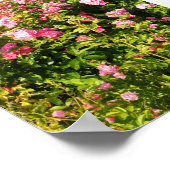 Roze rozen in bloei poster (Hoek)