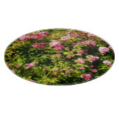 Roze rozen in bloei snijplank (Hoek)