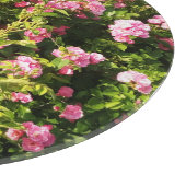 Roze rozen in bloei snijplank (Hoek)