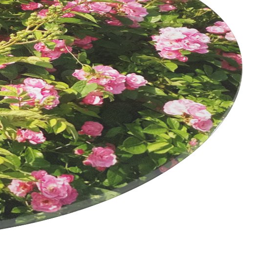 Roze rozen in bloei snijplank (Hoek)