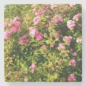 Roze rozen in bloei stenen onderzetter (Voorkant)