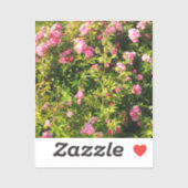 Roze rozen in bloei sticker (Vel)