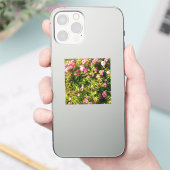 Roze rozen in bloei sticker (Telefoon)