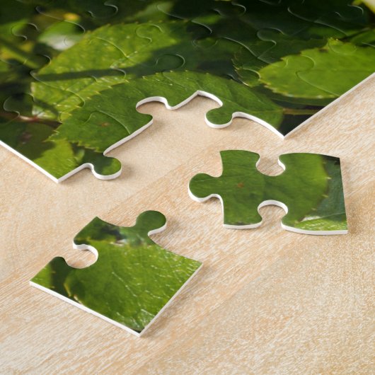 Roze rozen in de tuin legpuzzel (Zijkant)