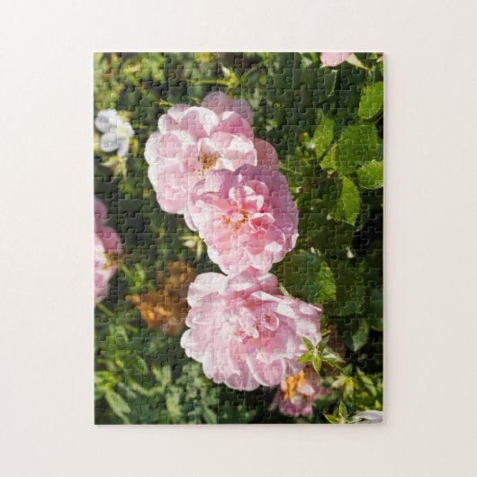 Roze rozen in de tuin legpuzzel (Verticaal)