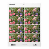 Roze rozen in een Roos tuin Etiket (Full Sheet)