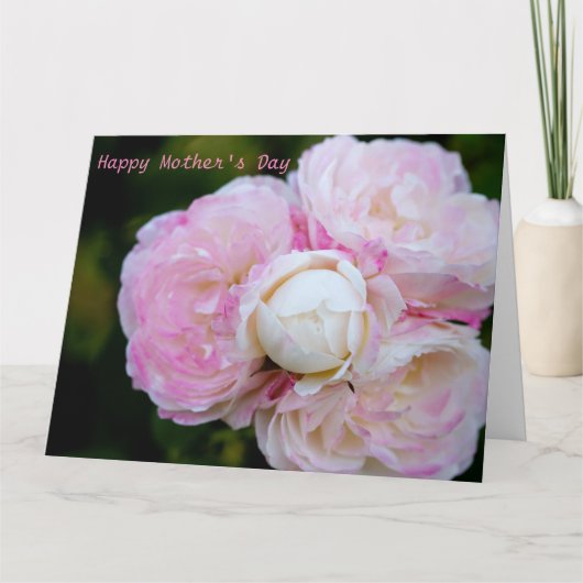 Roze rozen kaart (Voorkant)