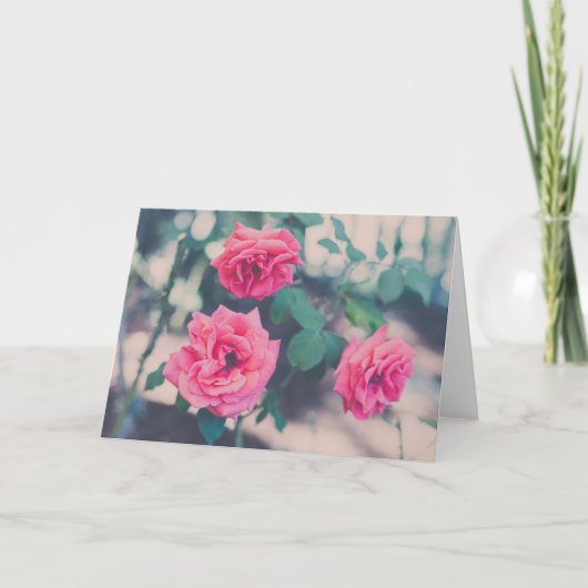 Roze rozen kaart (Voorkant)