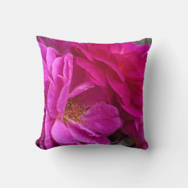 Roze Rozen Kussen