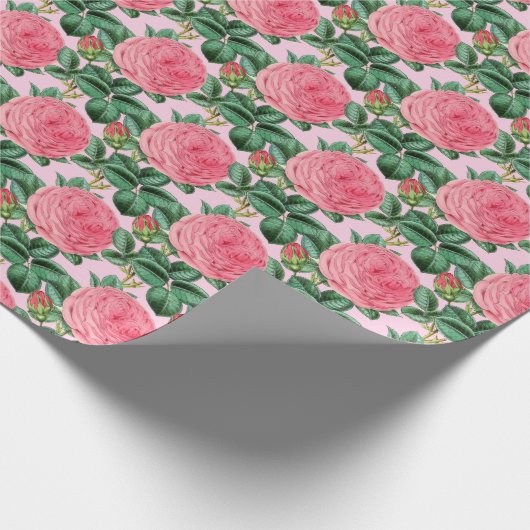 Roze  Rozen loskoppelen of cadeau Cadeaupapier (Hoek)