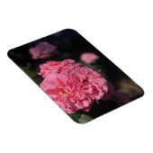 Roze rozen magneet (Rechterzijde)