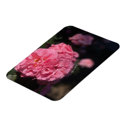 Roze rozen magneet (Linkerzijde)