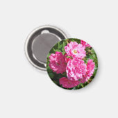 roze_rozen magneet (Voorkant / Achterkant)