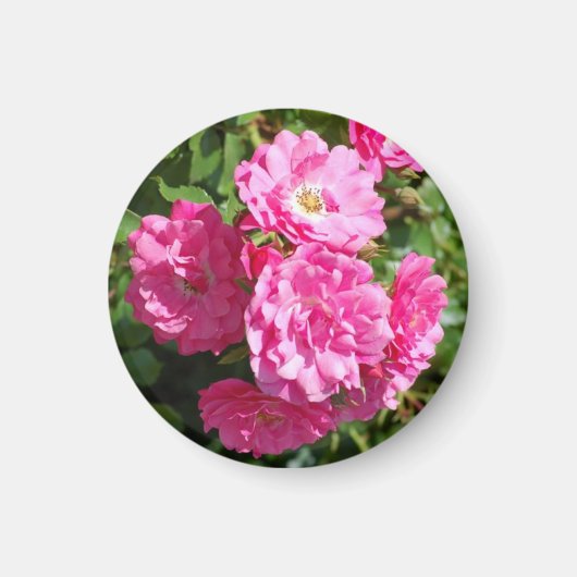 roze_rozen magneet (Voorkant)