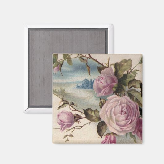 roze rozen magneet (Voorkant / Achterkant)
