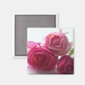 Roze rozen magneet (Voorkant / Achterkant)