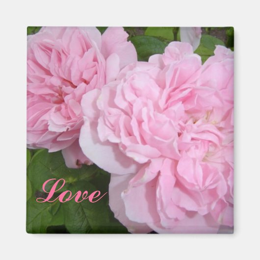 Roze rozen magneet (Voorkant)