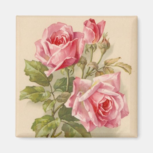  roze rozen magneet (Voorkant)