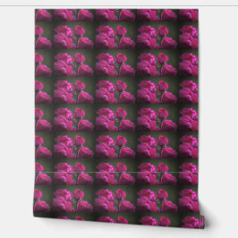Roze rozen met dauw behang