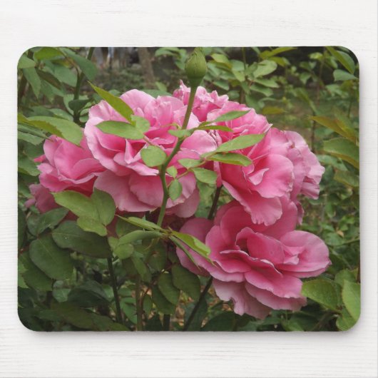 Roze rozen muismat (Voorkant)