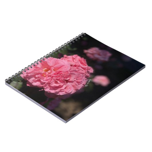 Roze rozen notitieboek (Linkerzijde)