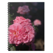 Roze rozen notitieboek (Voorkant)