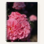 Roze rozen notitieboek (Voorkant)
