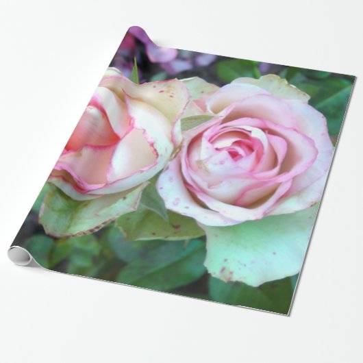 Roze rozen omslagpapier cadeaupapier (Uitgerold)