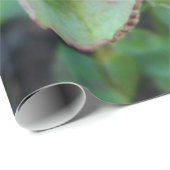 Roze rozen omslagpapier cadeaupapier (Rol Hoek)