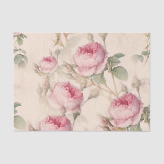Roze  Rozen ontkoppelen Tissuepapier (Voorkant)