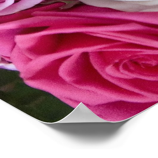 Roze rozen op canvas poster (Hoek)