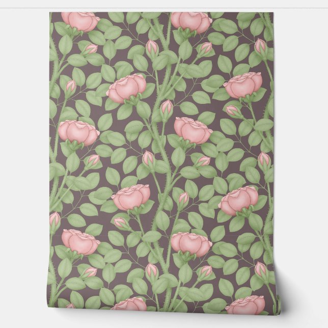 Roze rozen op donkere pruim behang (Afrollen)