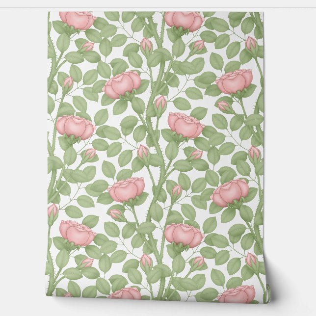 Roze rozen op wit behang (Afrollen)