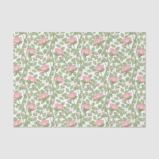 Roze rozen op wit tissuepapier (Voorkant)