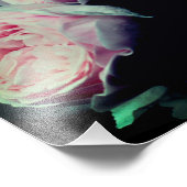 Roze Rozen Paar 8x10 Foto Afdruk (Hoek)