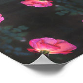 Roze rozen patroon poster (Hoek)