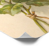 roze rozen poster (Hoek)