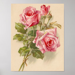  roze rozen poster