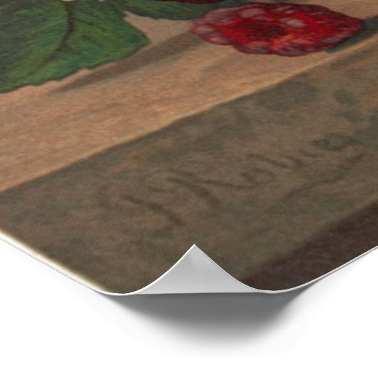 Roze rozen poster (Hoek)