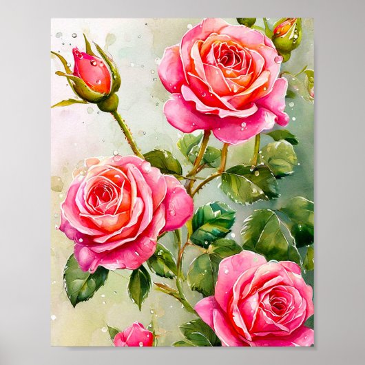 Roze rozen poster (Voorkant)