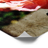 Roze rozen poster (Hoek)