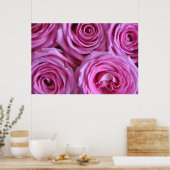 Roze rozen poster (Keuken)